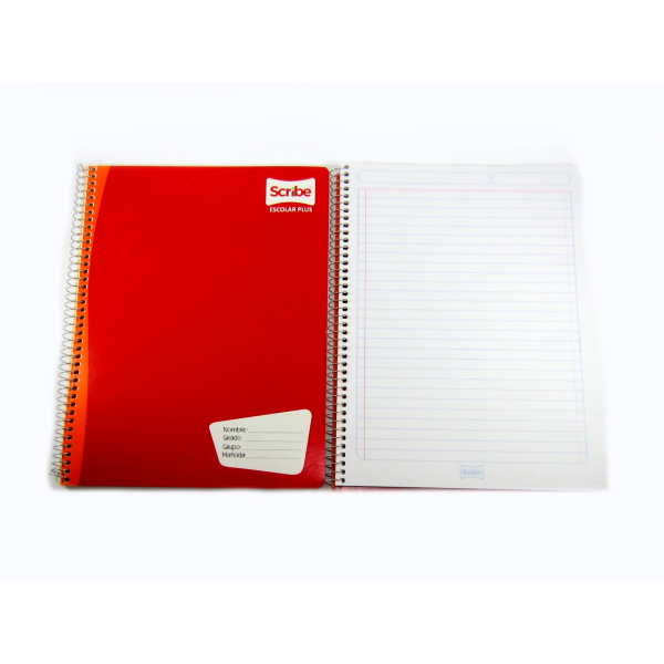 CUADERNO PROF 7970 SCRIBE ESPIRAL 100 H RAYA